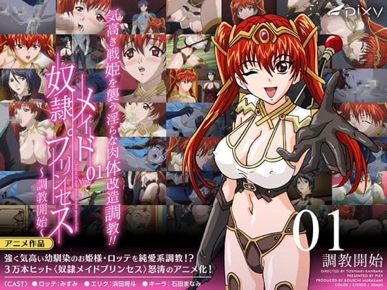 奴隷メイドプリンセス VOL.01 調教開始[中文字幕]