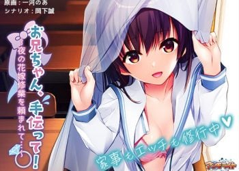 お兄ちゃん、手伝って！～夜の花嫁修業を頼まれて…～ The Motion Anime