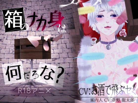 [ぷれい☆る～む] 箱のナカ身は何だろな?～猫～ [中文字幕]